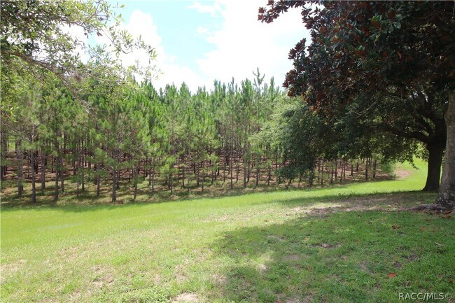 Building Photo - 1600 W Spring Meadow Loop
