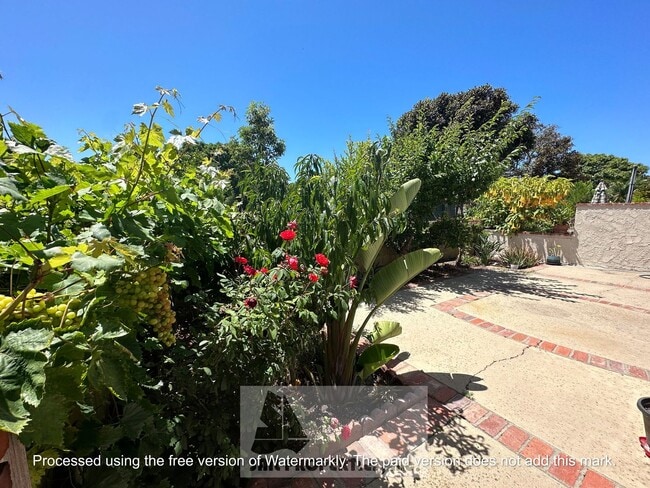 Building Photo - Modern La Cuesta Corner Townhome Near Down...