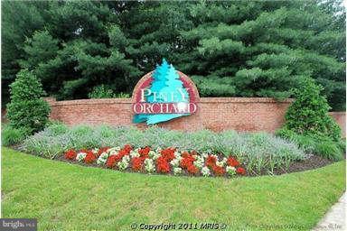Building Photo - 805 Thicket Ct