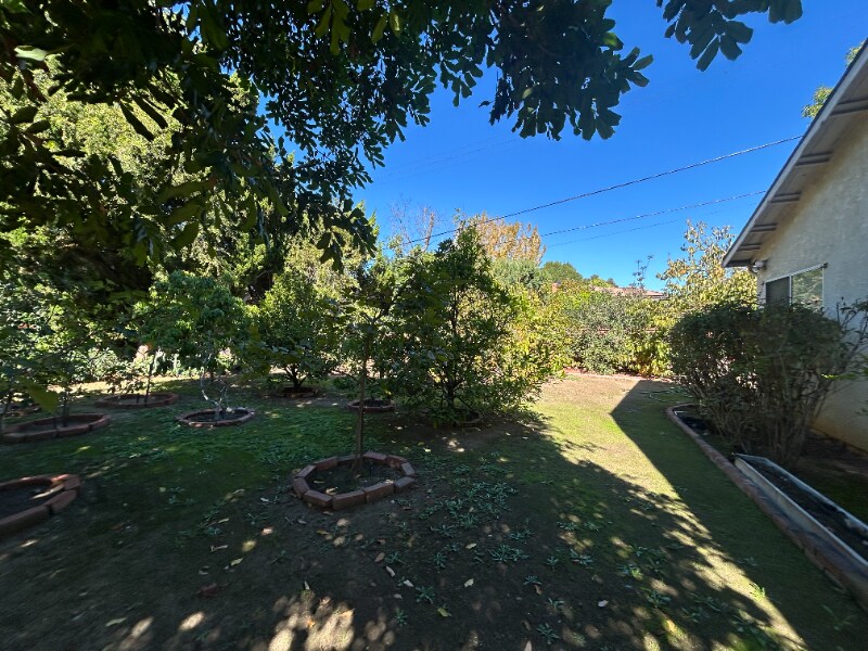 Building Photo - 3305 Jurich Pl