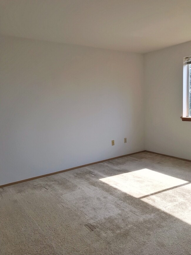 Building Photo - Great 3 bed with huge yard!