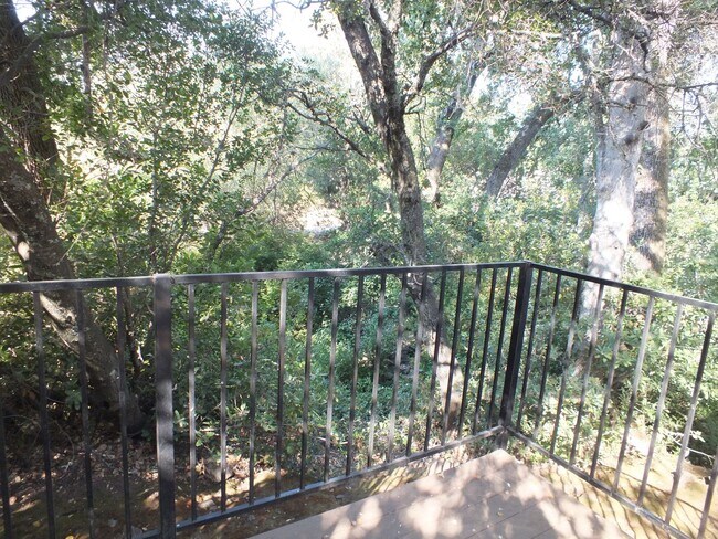 Building Photo - Cameron Park 2/2 1600 sf hidden gem!