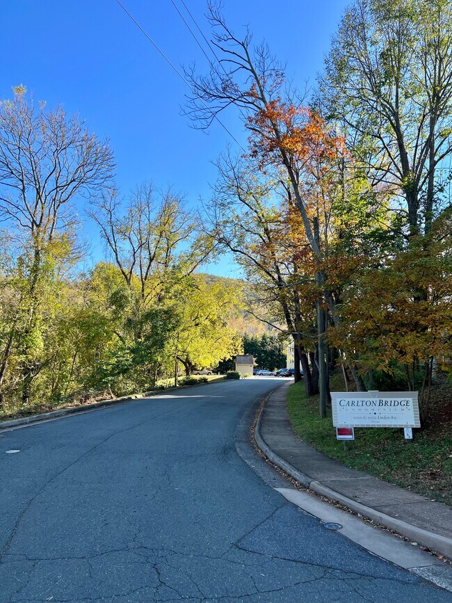 Building Photo - 1002 Linden Ave