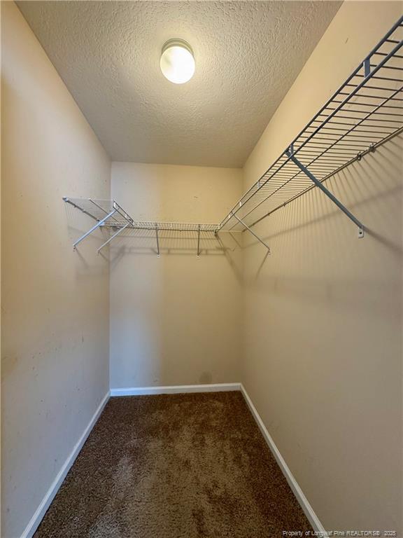 Building Photo - 858 Screech Owl Dr