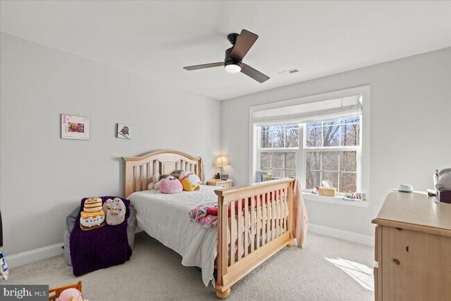 Building Photo - 2061 St Pauls Ct