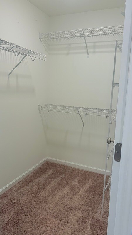 Building Photo - 226 Sutton Ct