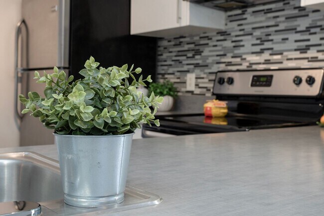 Building Photo - Beautifully Remodeled 3 Bedroom in Regent Park