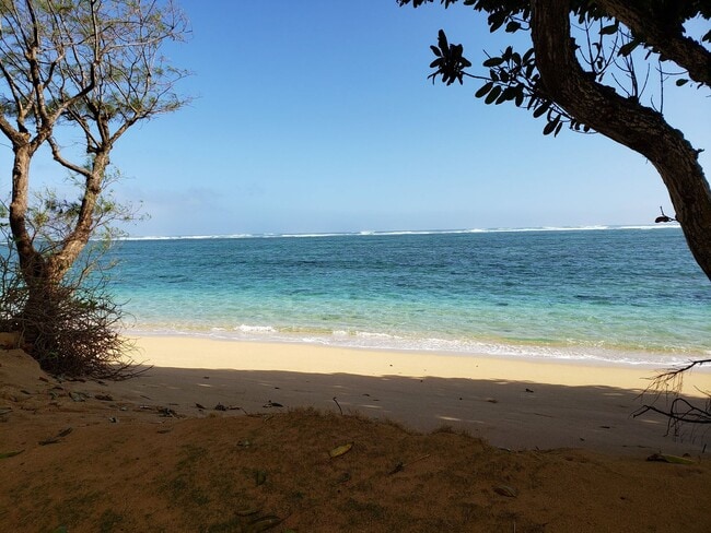 Building Photo - Beautiful Beach side Hanohano Hale Studio ...
