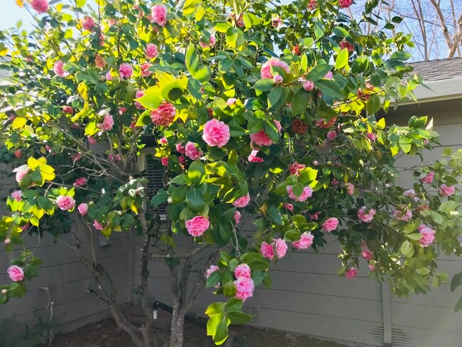 Building Photo - 3860 Linda Vista Ave