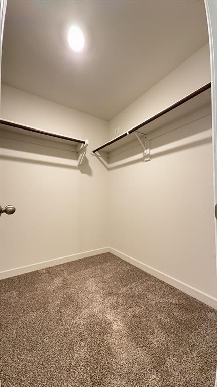 Building Photo - 10709 Red Thistle Dr