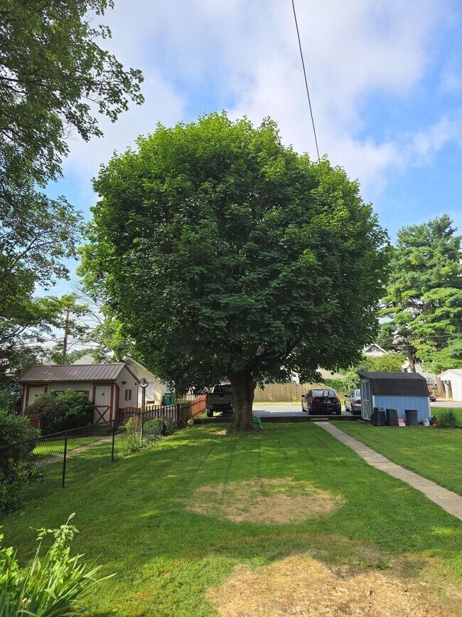 Building Photo - 552 E King St