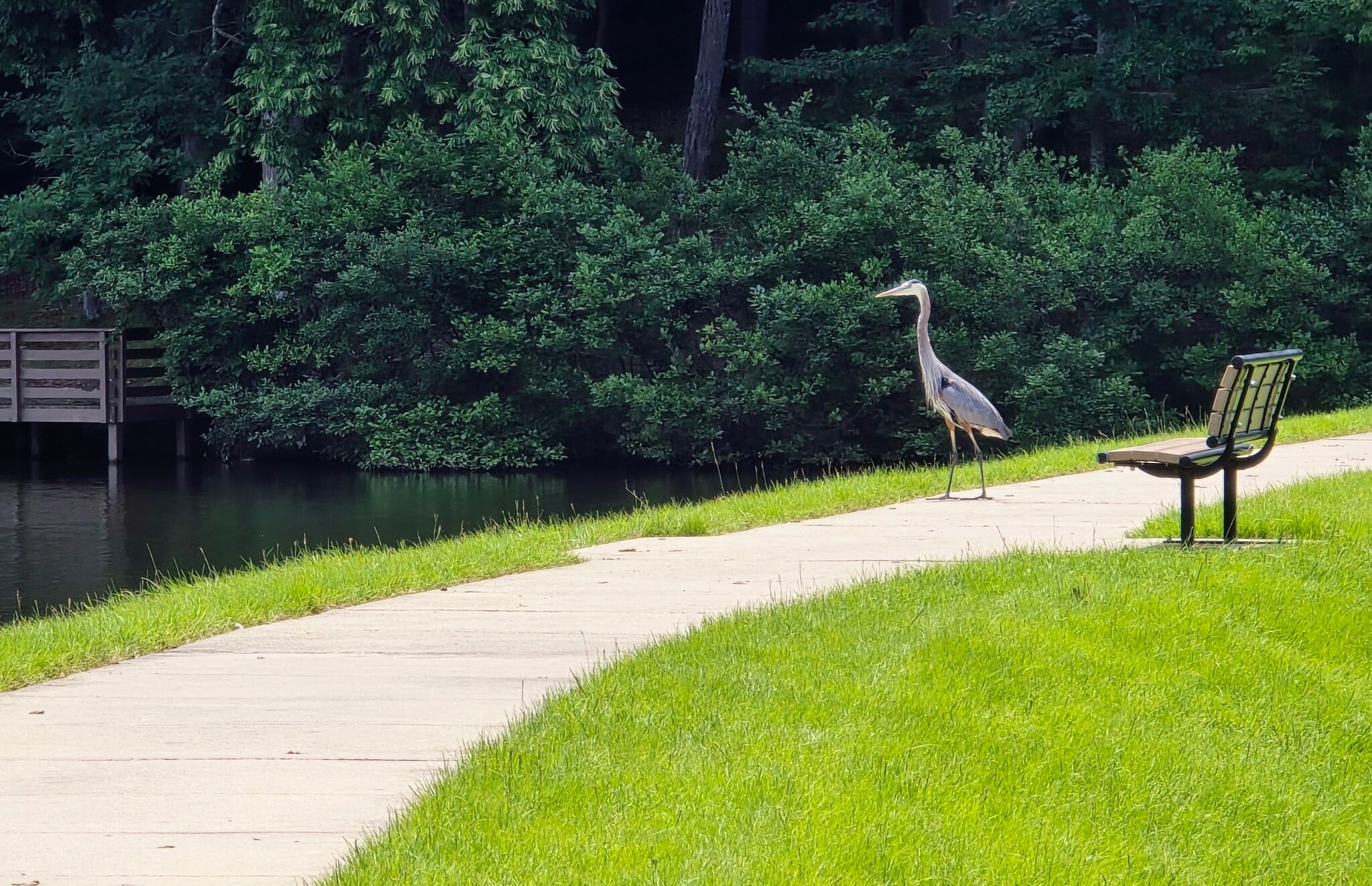 Natural wonders around every bend. - 90 Martin Point Ct