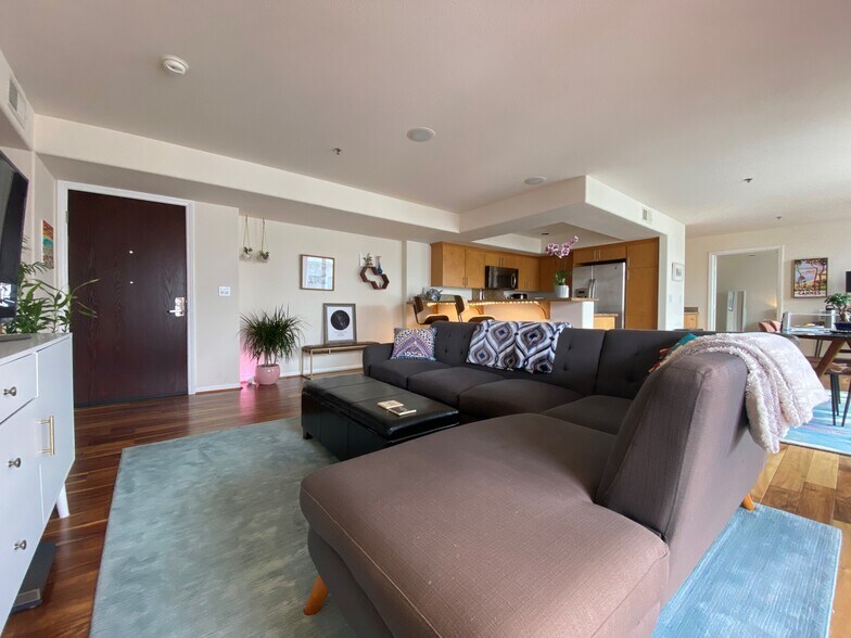 open concept living area with huge south facing windows - 924 Hornblend St