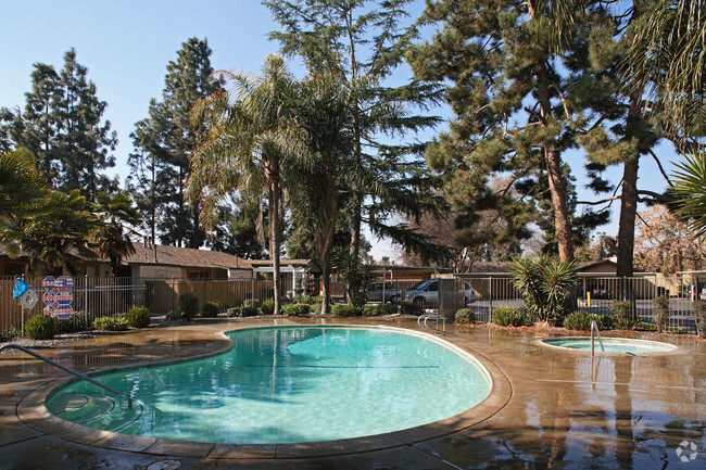 Pool - Pine Valley Apartments