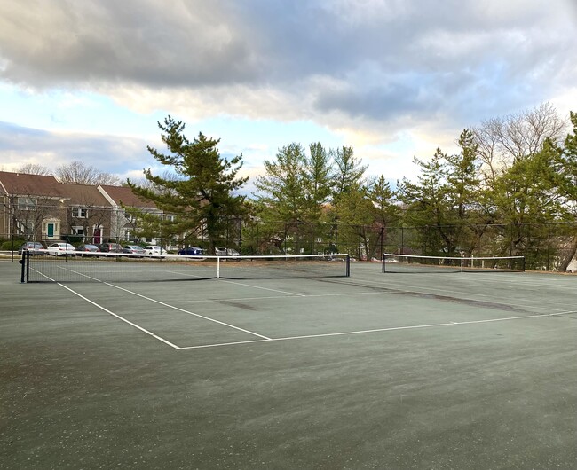 Tennis Courts - 2103 Woodbox Ln