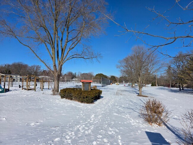 Building Photo - Updated 3-Bedroom Single- Family Home in Fox Point