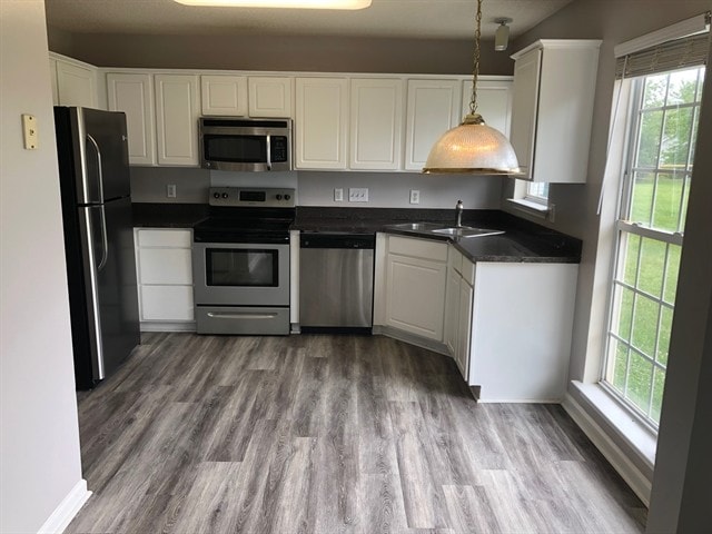 Building Photo - 9806 Coriander Ct