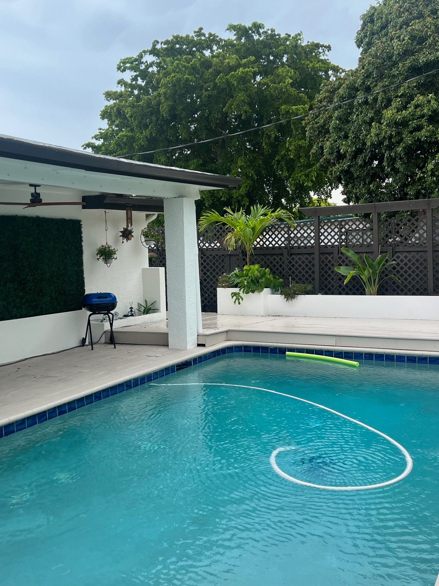 Pool - 4141 NE 16th Ave