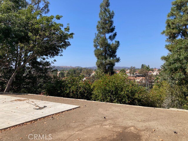 Building Photo - 29471 Via Valverde