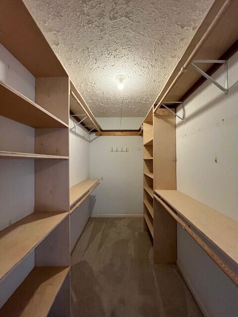 Building Photo - 2010 Windy Meadow Dr