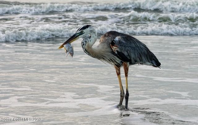 Building Photo - 208 Tin Roof Ave