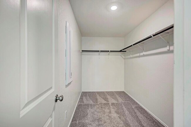 Building Photo - 6513 Leonardo Cove