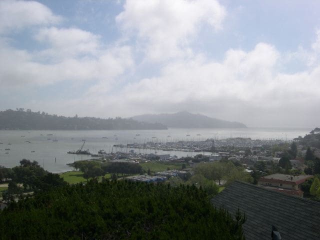Building Photo - Sausalito Duplex with Expansive Views