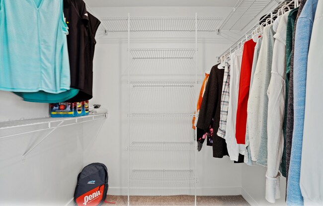 Building Photo - Cute 4-Bedroom Home in Vineyard!