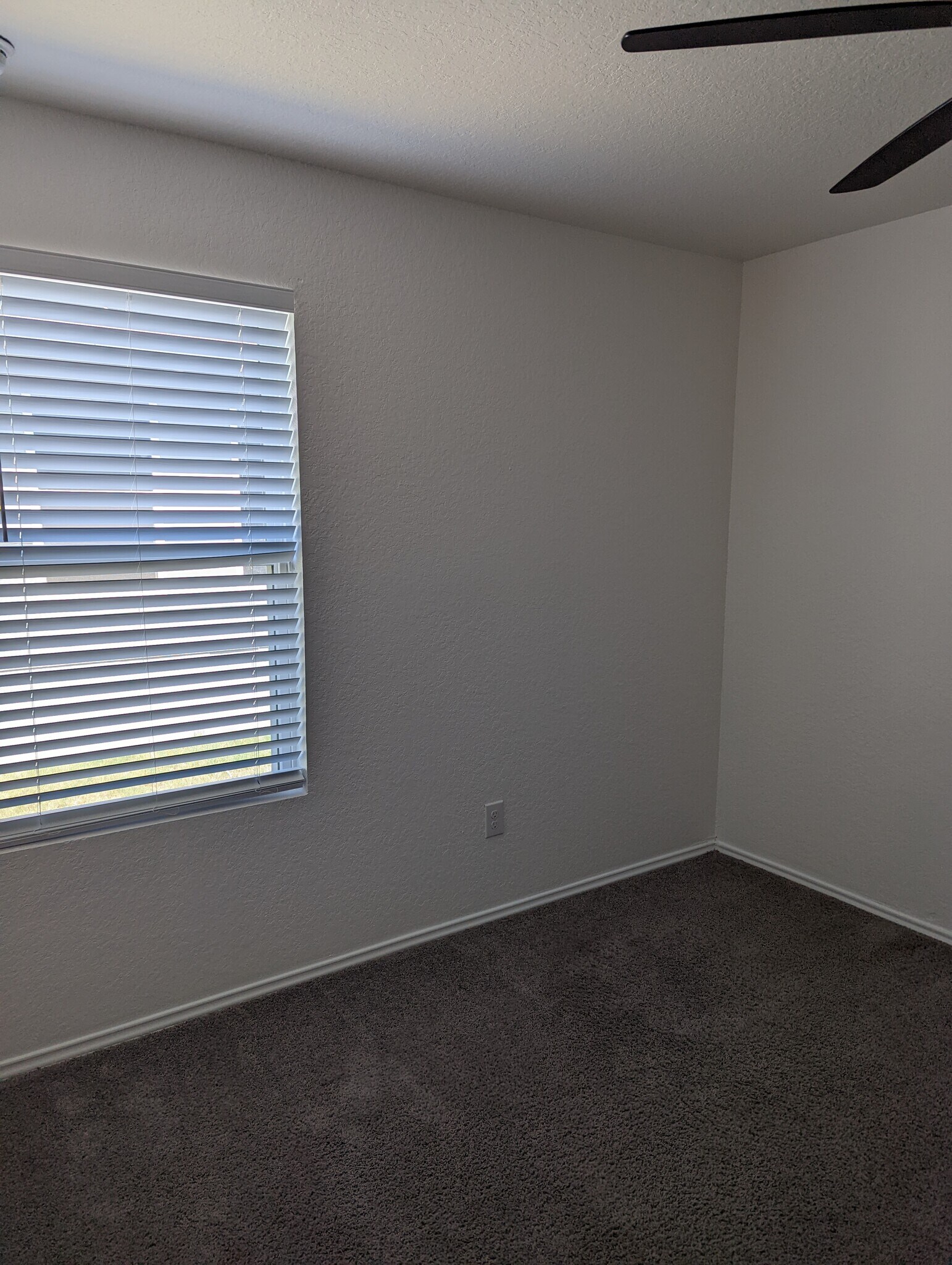Building Photo - 10687 Penelope Way