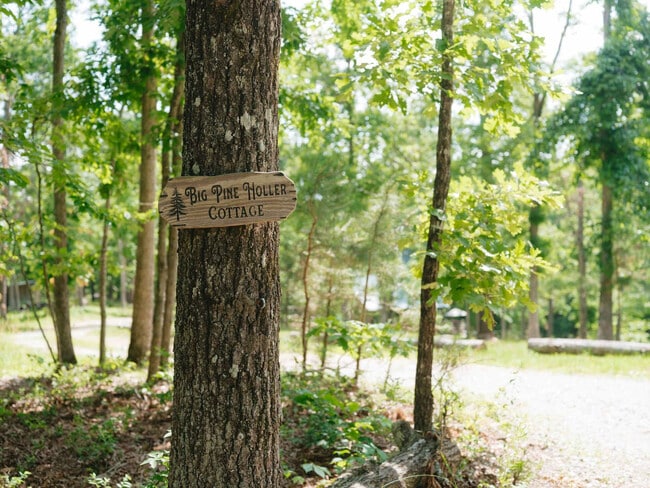 Building Photo - 10583 Two Girls Ln