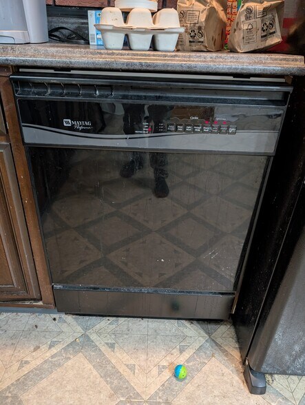 Dishwasher - 123 W Mohawk St