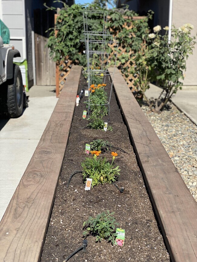 Building Photo - 1713 El Paseo Dr