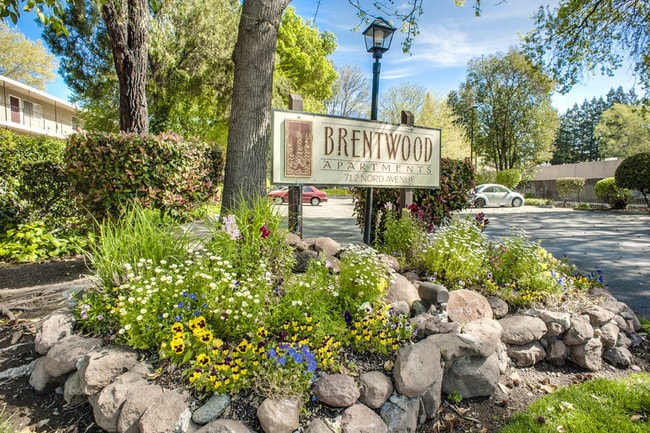 Primary Photo - Brentwood