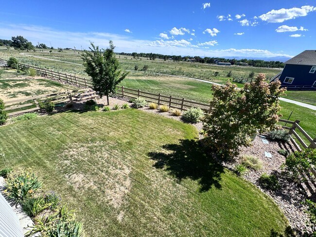 Building Photo - Gorgeous newer home in Timnath