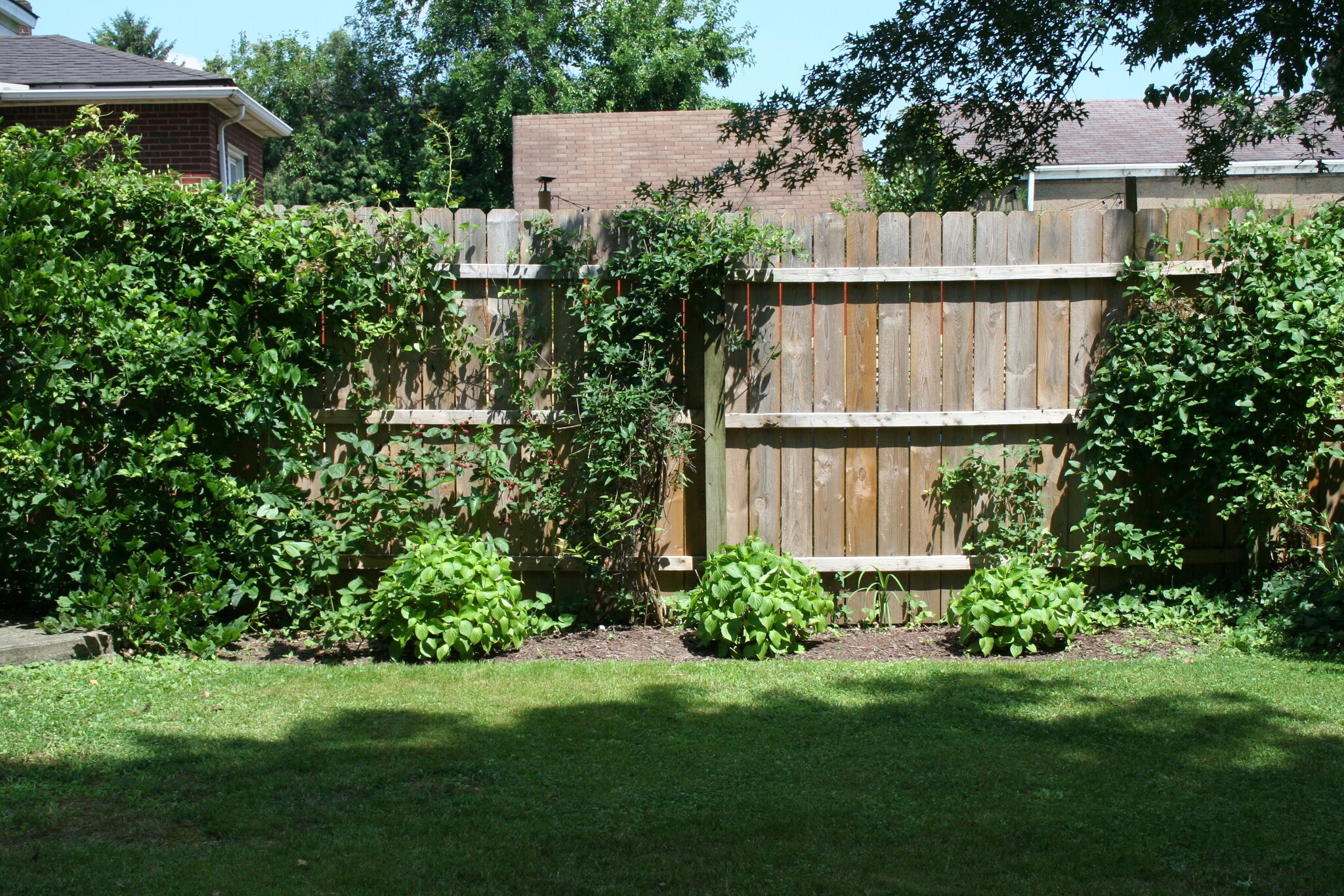 Building Photo - 1212 Love St