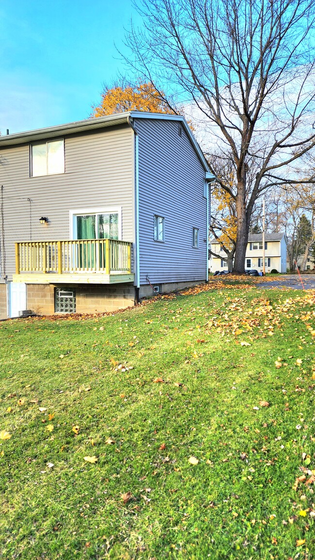 Walk-out basement - 155 Moxon Dr