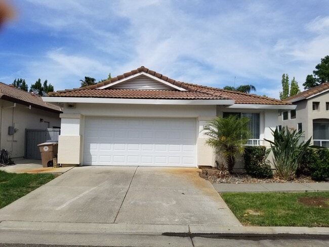 Primary Photo - Elk Grove