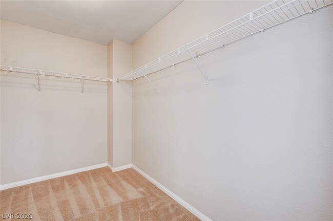 Building Photo - 8444 Lucero Ave