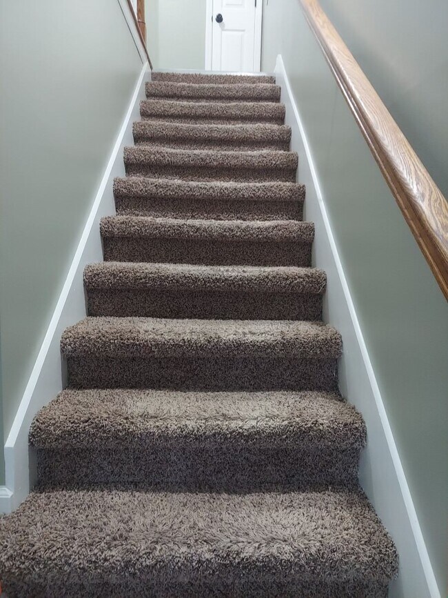 Building Photo - 137 Shearer St