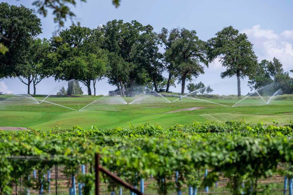 Building Photo - 14250 Juniper Breeze Ct