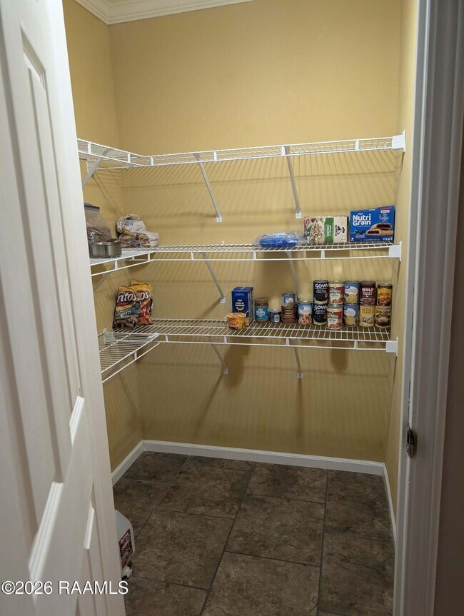 Building Photo - 206 Windcreek Ln