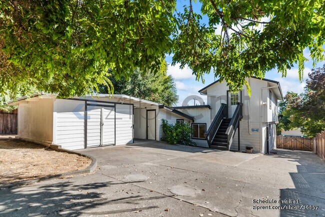 Building Photo - 1967 Solano Way