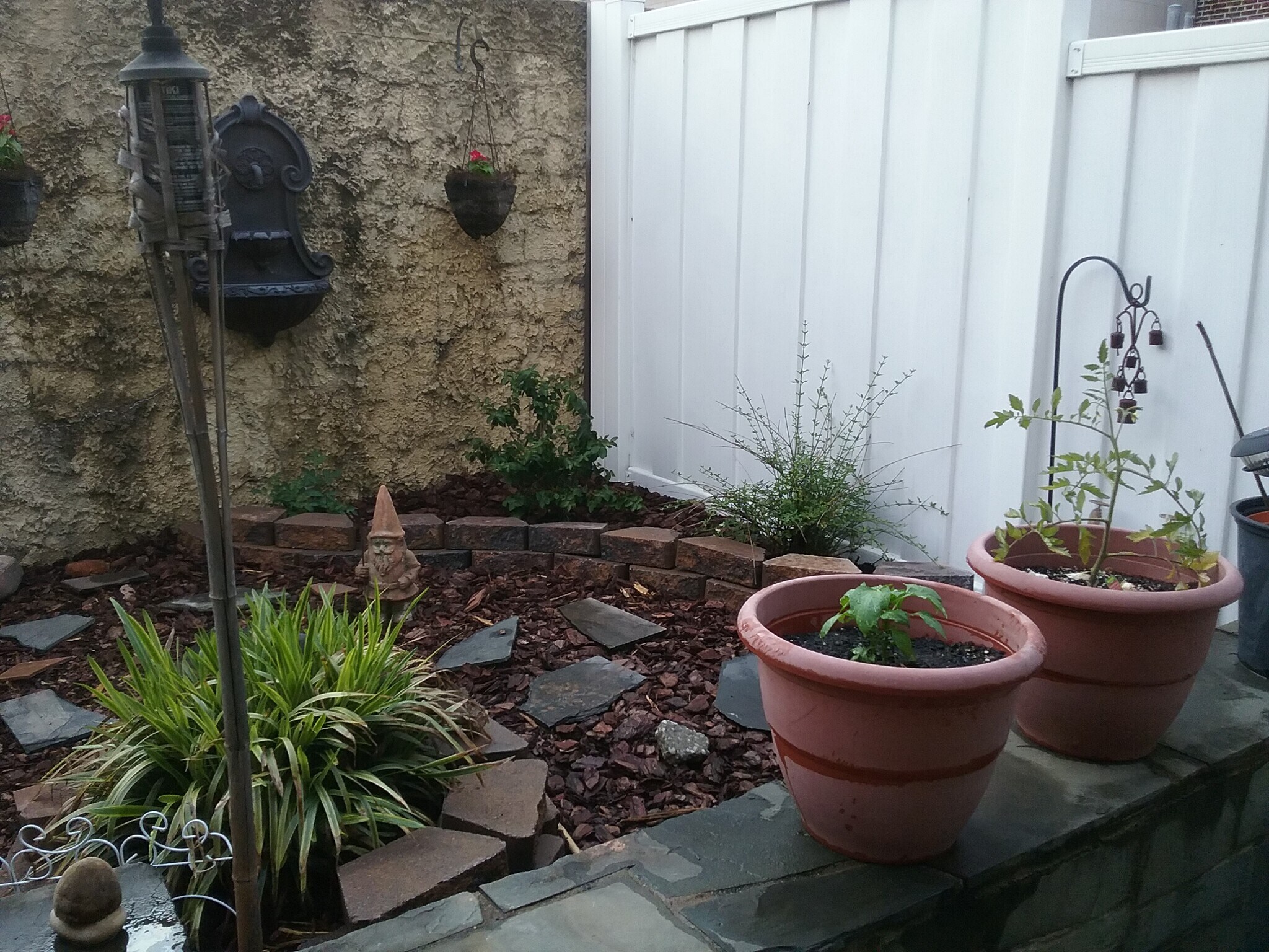 Cozy backyard plus balcony off main Bedroom plus rooftop deck too! - 730 6th St NE