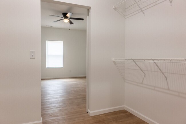 Building Photo - 54 Santo Domingo Dr