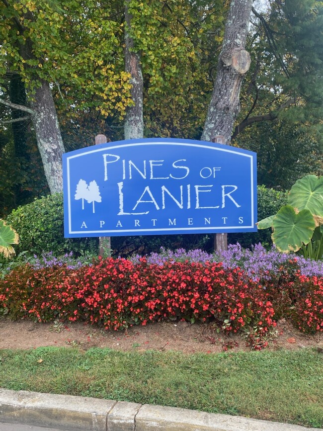 Primary Photo - Pines Of Lanier