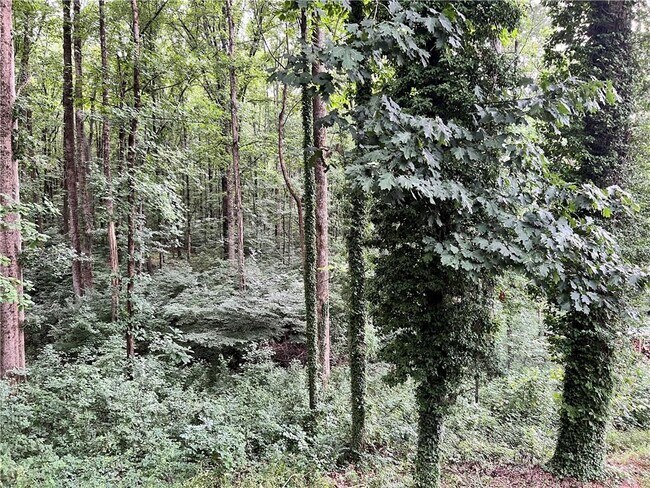 Building Photo - 5035 Hamptons Club Dr