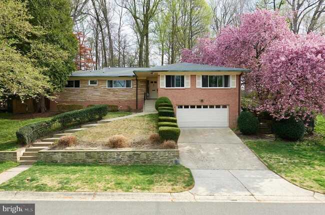 Primary Photo - 6716 Tulip Hill Terrace
