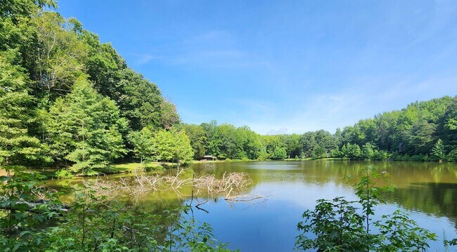 Building Photo - This Beautiful 4 bed 2.5 bath brick ranch ...