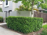 Building Photo - 10425 SW 154th Ct
