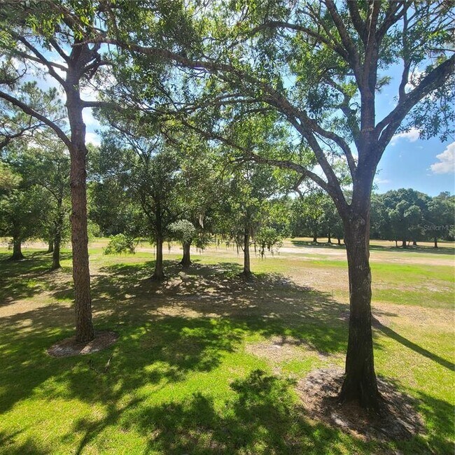 Building Photo - 3505 Tarpon Woods Blvd